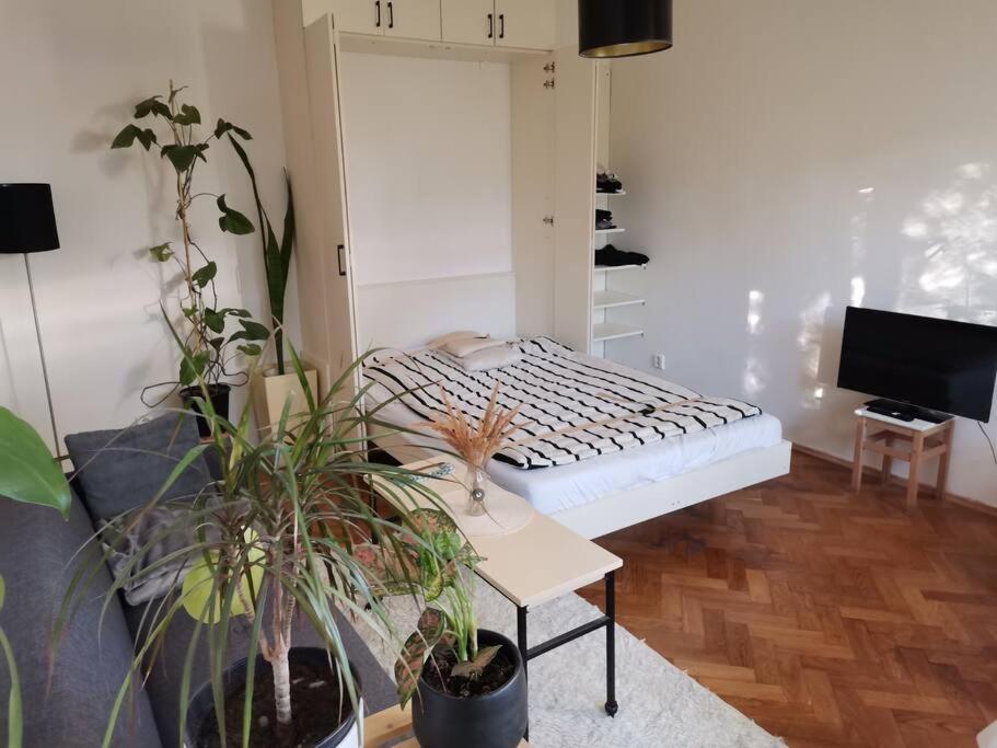 Cozy Studio In The City Centre Near Train Station Pressburg Exterior foto
